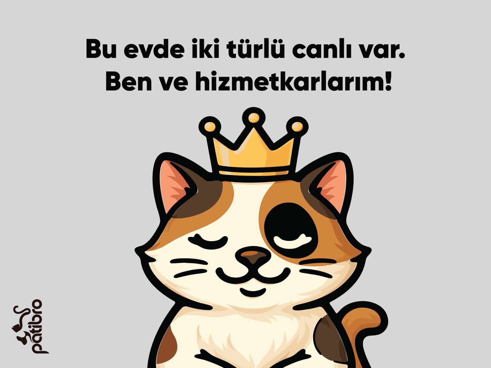 Sevimli Kedi Paspası