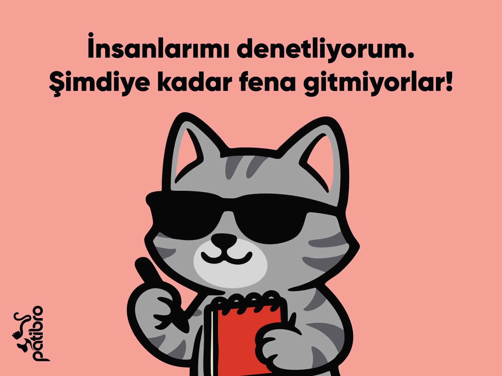 Uyuyan Kedi Paspası