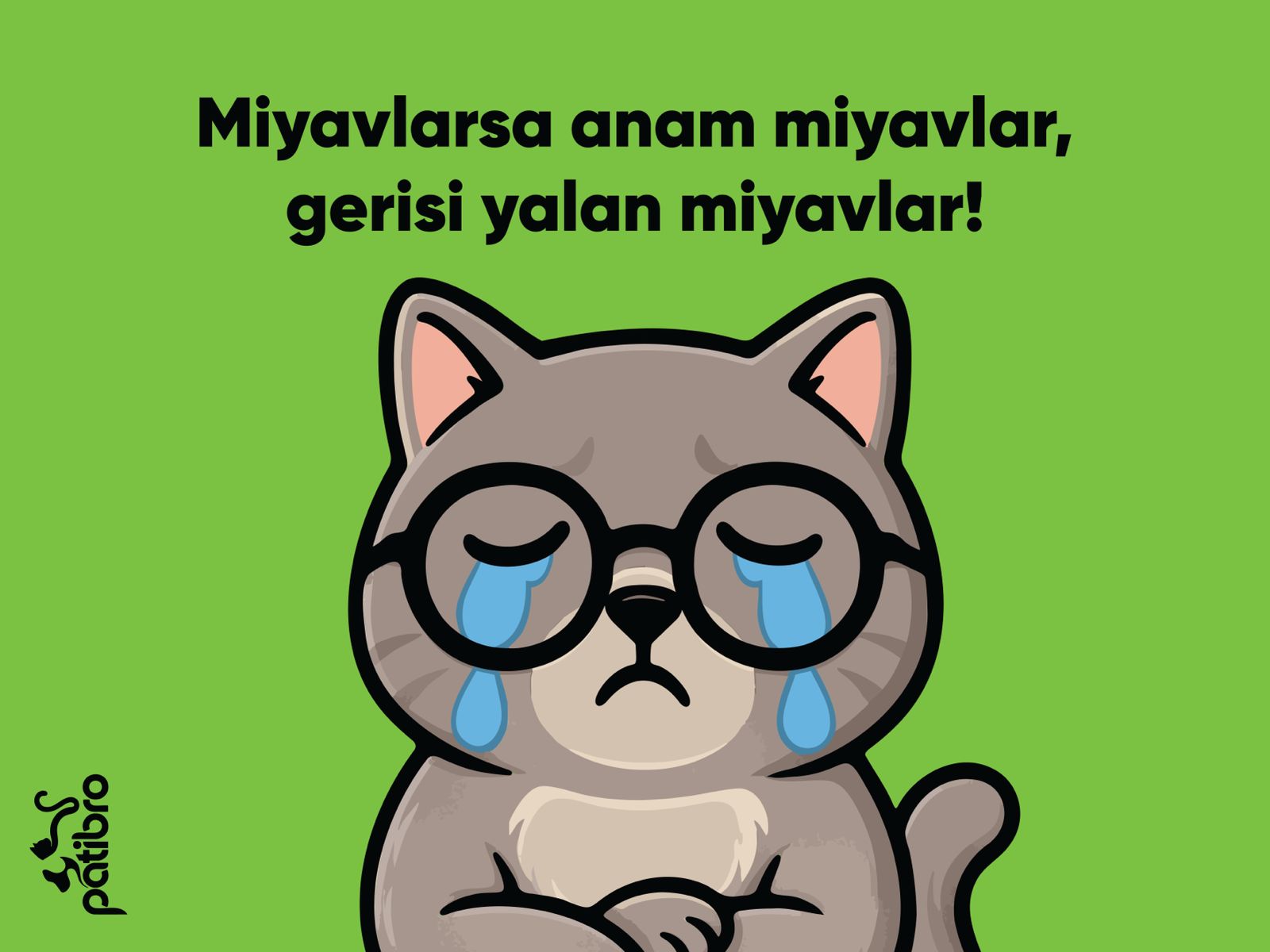 Prenses Kedi Paspası